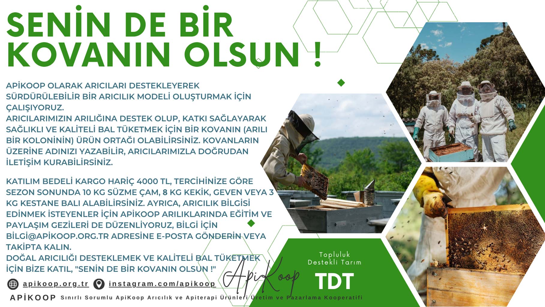 Senin De Bir Kovanın Olsun