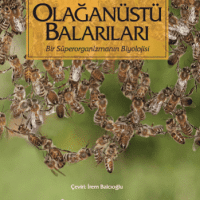 Olağanüstü Balarıları