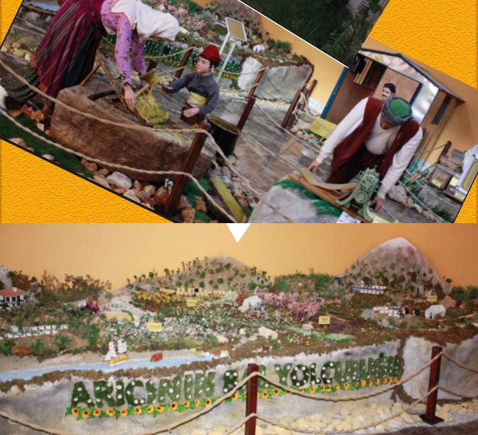 Muğla Arıcılık Müzesi
