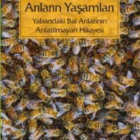 Arıların Yaşamları